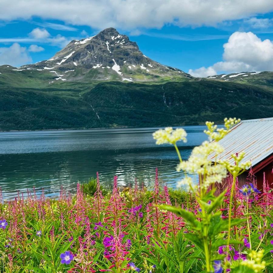 شقة Norwegian Dream Gratangen المظهر الخارجي الصورة