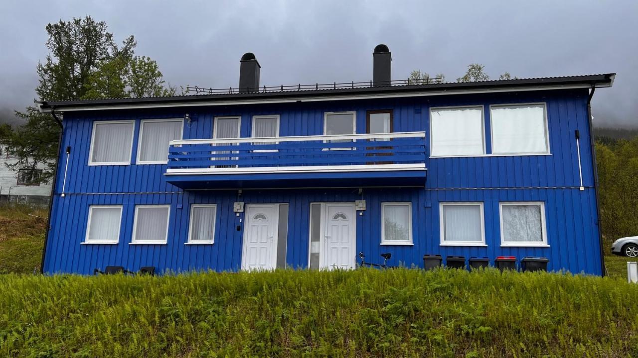 شقة Norwegian Dream Gratangen المظهر الخارجي الصورة